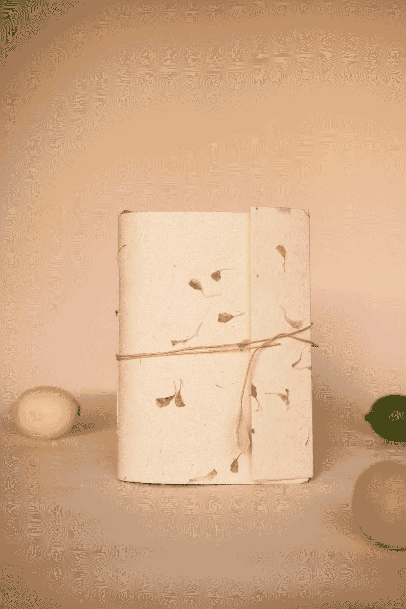 مهدیس صابری